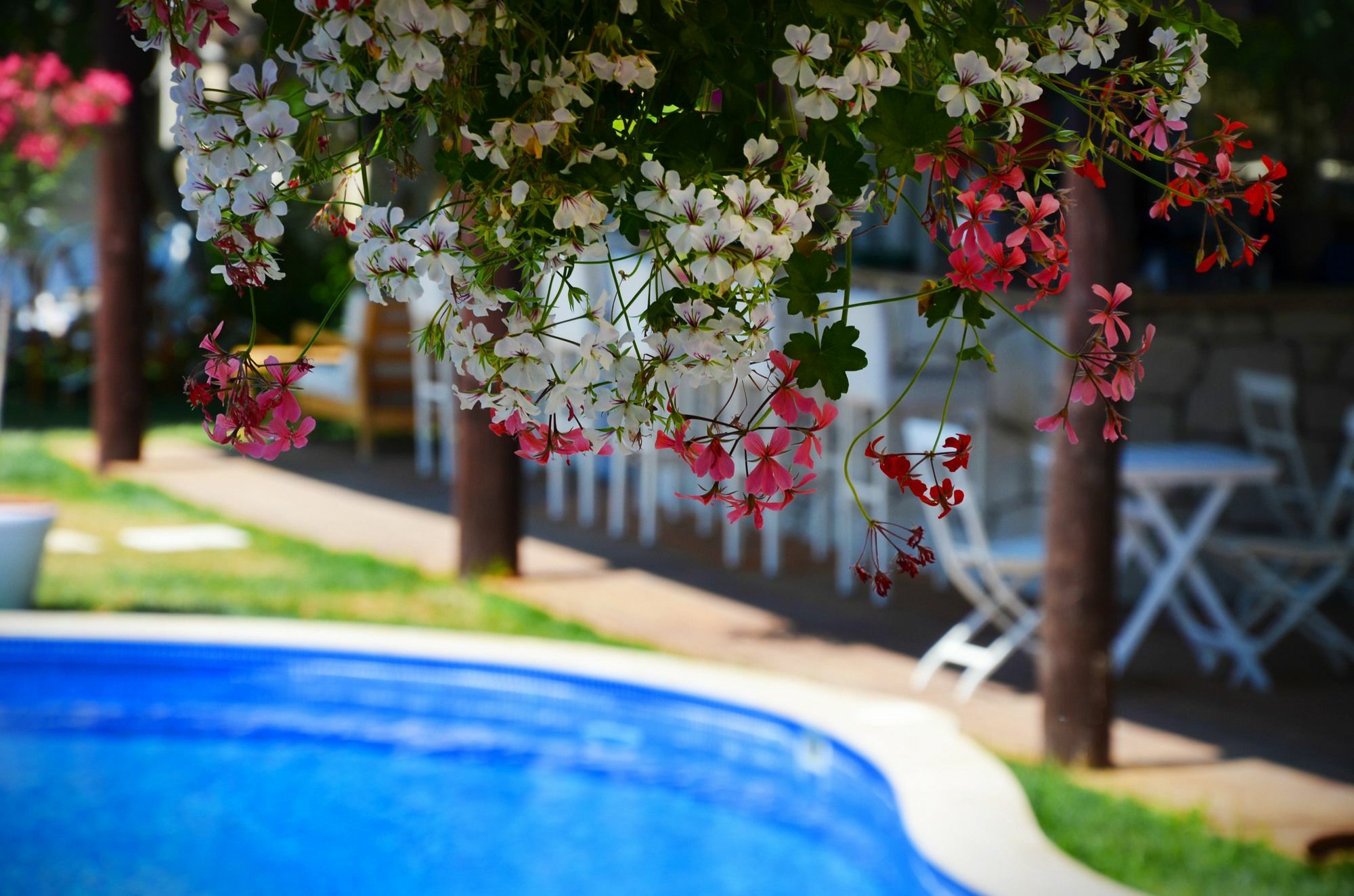 Tasquartas Hotel Alaçatı Esterno foto